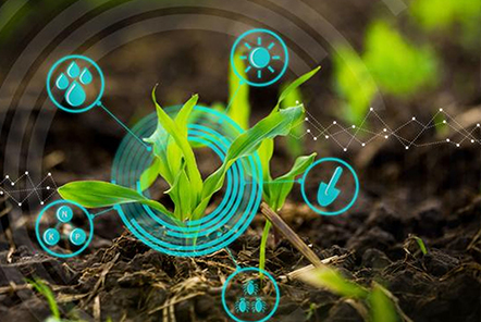 袁隆平入駐抖音本人卻不知情？抖音回應：系青島海水稻研究中心公司認證